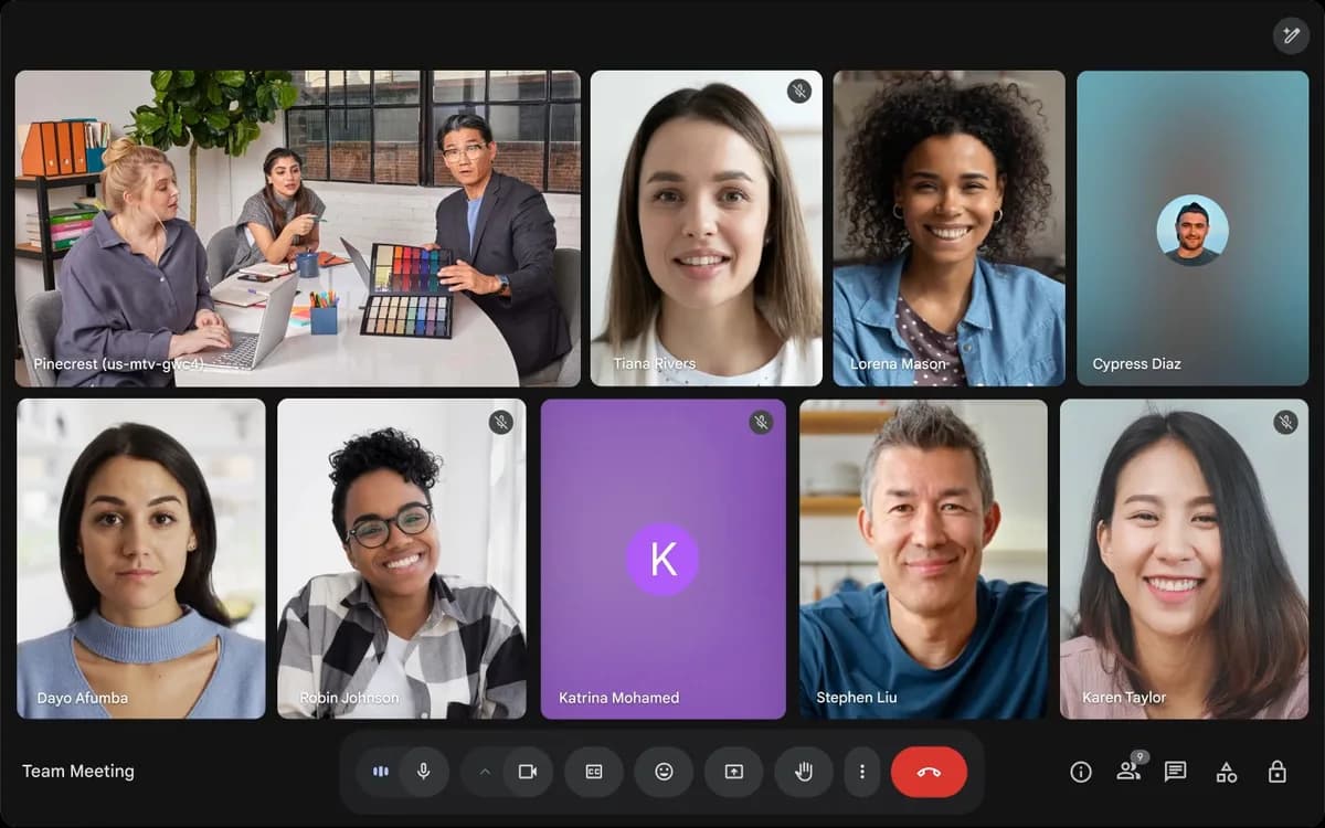A video meeting before OTO AI appears