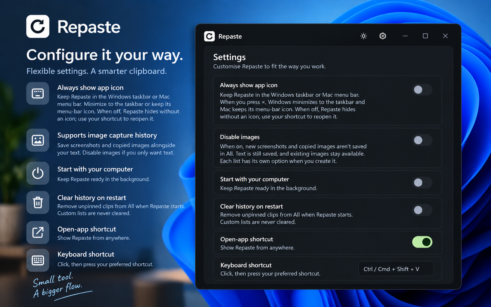 Repaste settings panel